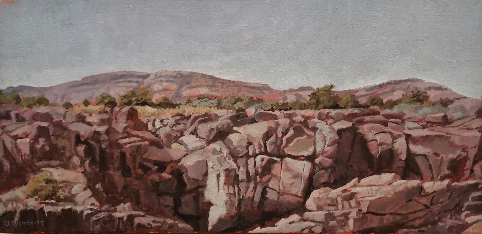 Jaco Benade - Landscape